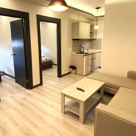 Nenehatun59 Butik Lägenhetshotell Ankara